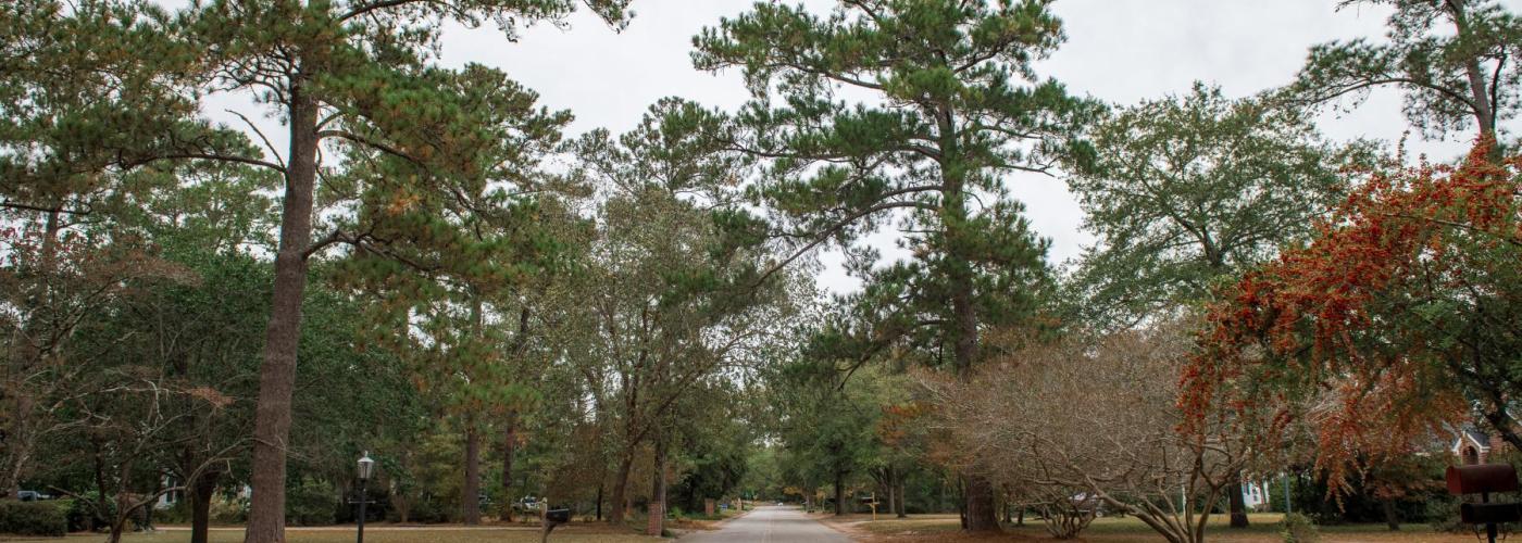 Idalia Drive
