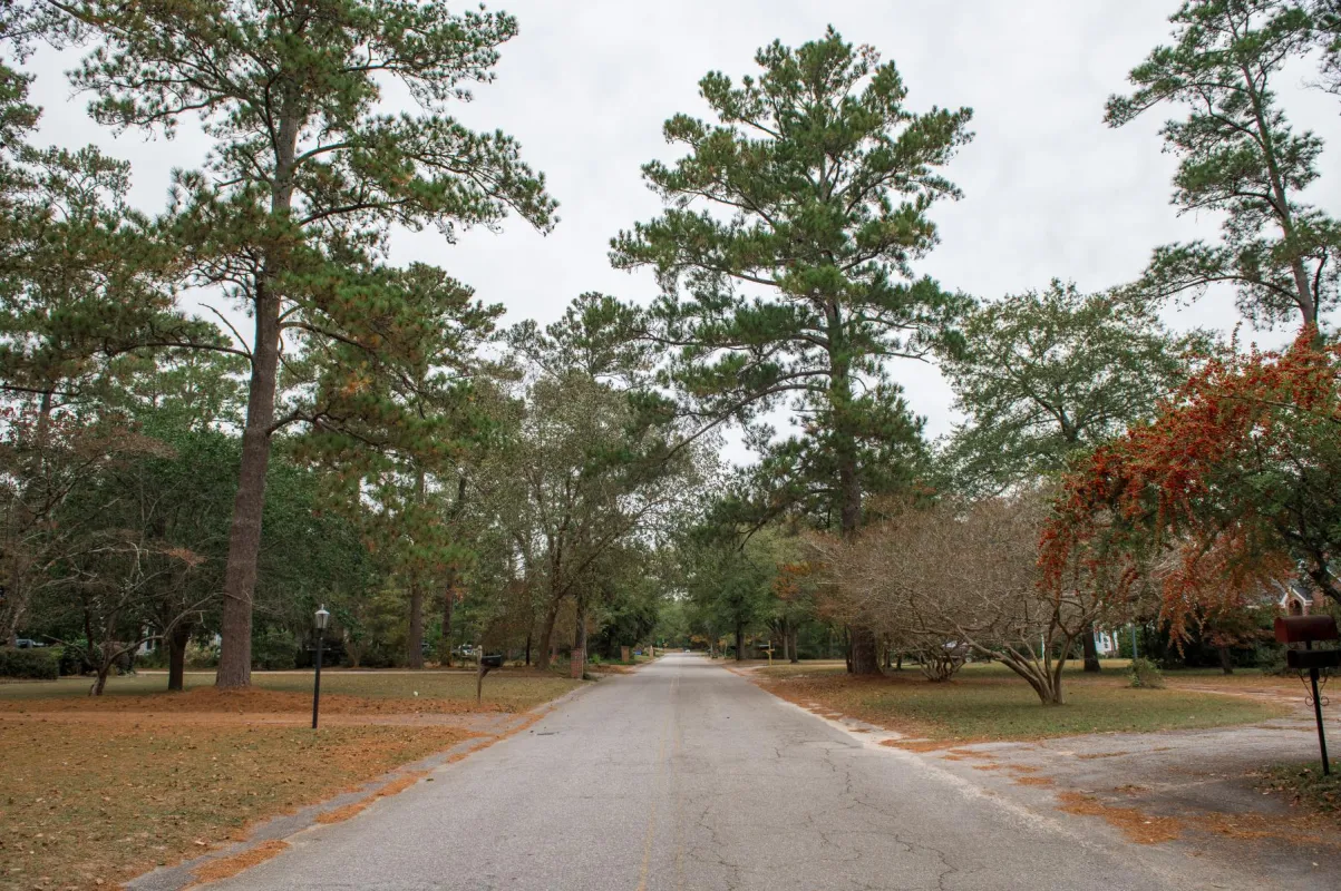 Idalia Drive
