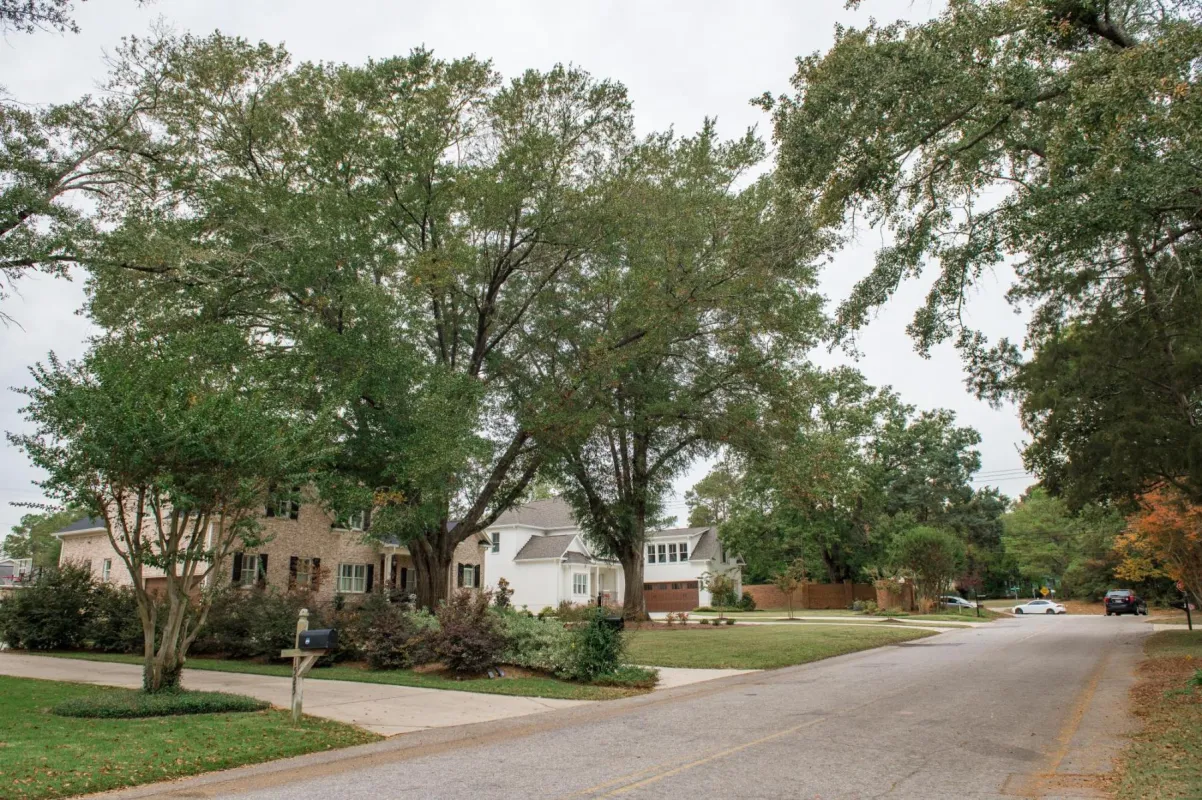 Idalia Drive