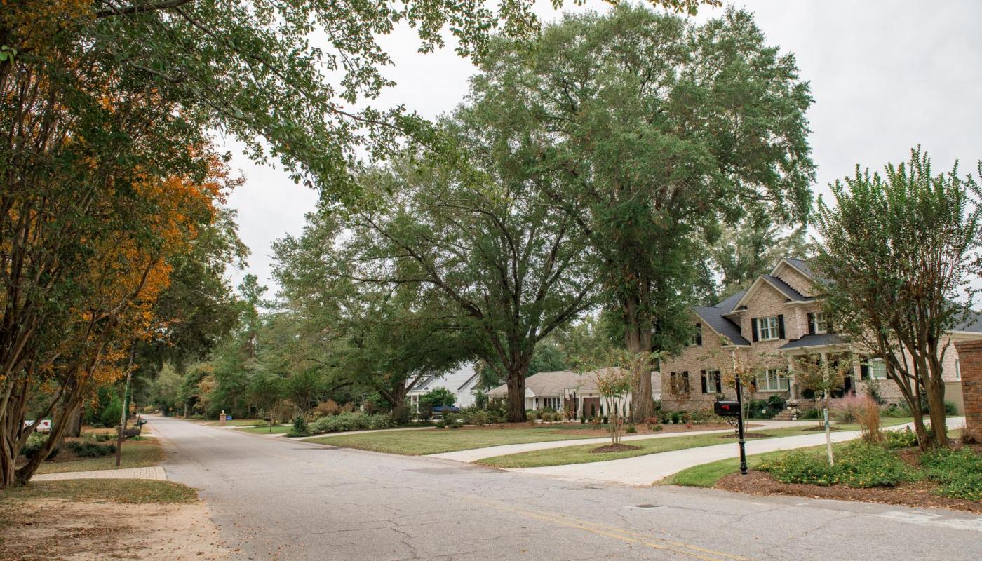 Idalia Drive