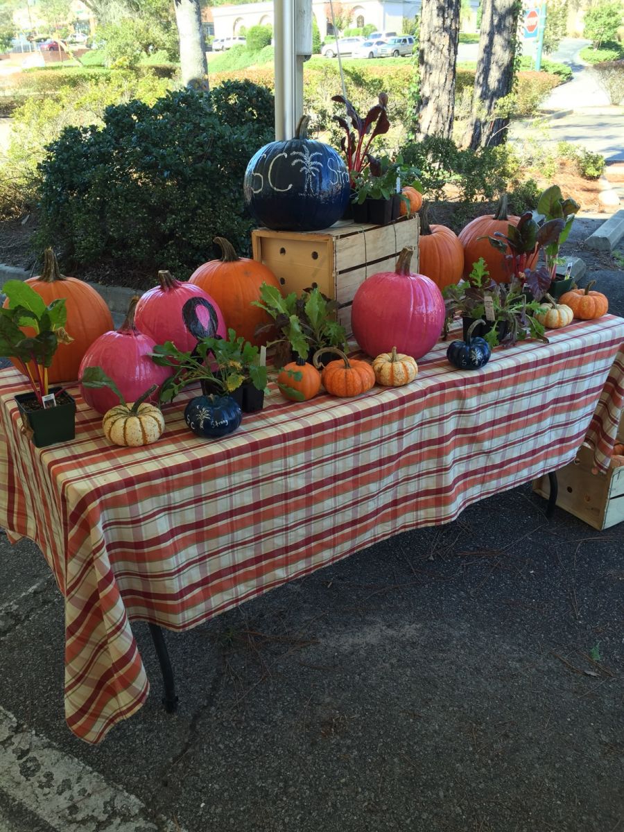 display table with pumpkins